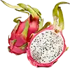 Dragon Fruit