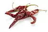 Ancho Chili Pepper