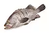 Grouper