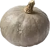Hubbard squash-pokroić w kawałki i nasiona usunięte