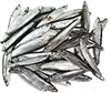 Whitebait
