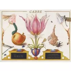 Kadra Kamień Kwiat Sauvignon Blanc