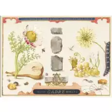 Zespół kamieni Gruner Veltliner