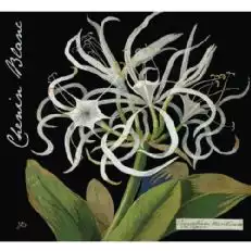 Wina Botanica Mary Delany Chenin Blanc