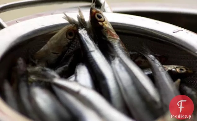 Marynowane Boquerones