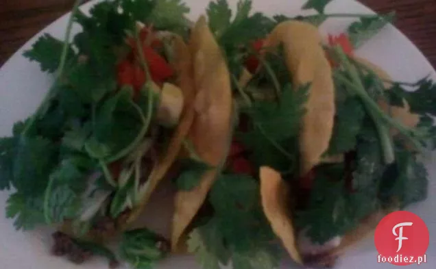 Autentyczne Tacos