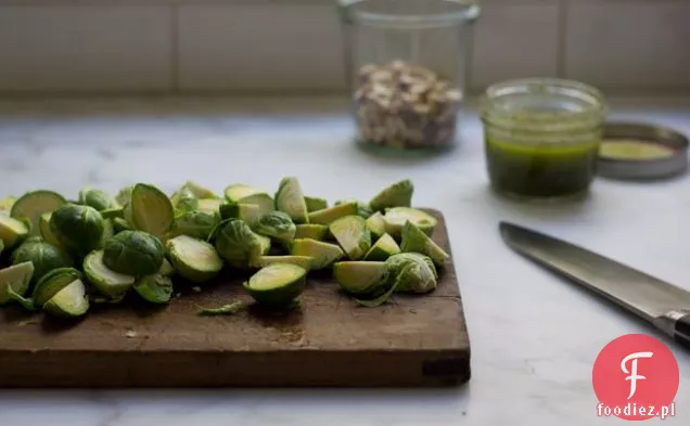 Oregano Brukselka