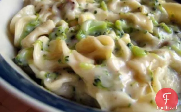 Brokuł-Makaron Parmezan Piec