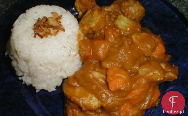 Abaranger Dino Curry