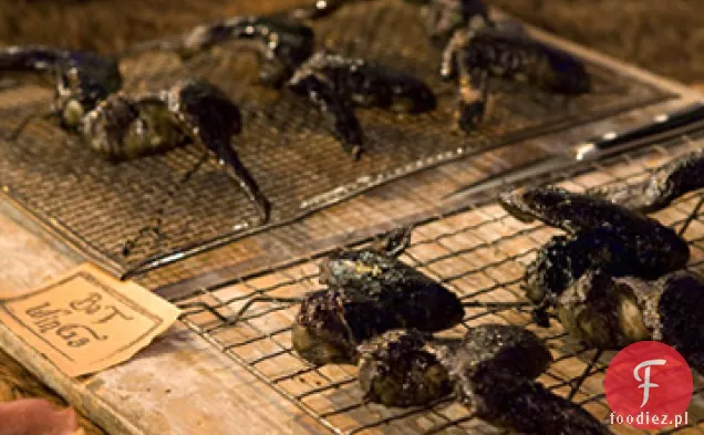 Skrzydła Nietoperza