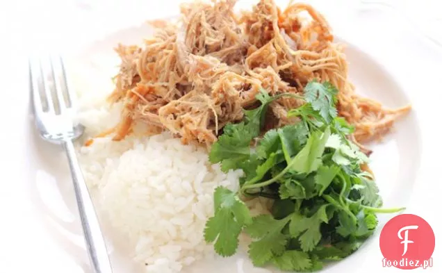 Easy Hawaiian Kalua Pork