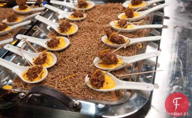 Zupa marchewkowo-imbirowa z Kellogg ' sandreg; zupa z All-Branandreg; grzanki z polędwicy wieprzowej