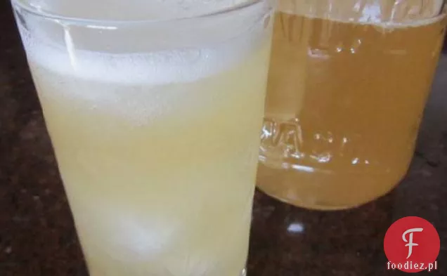 Kefir Wodny