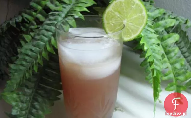 Pink Apple Limeade