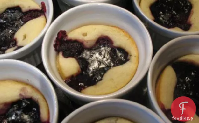Cobbler Blackberry
