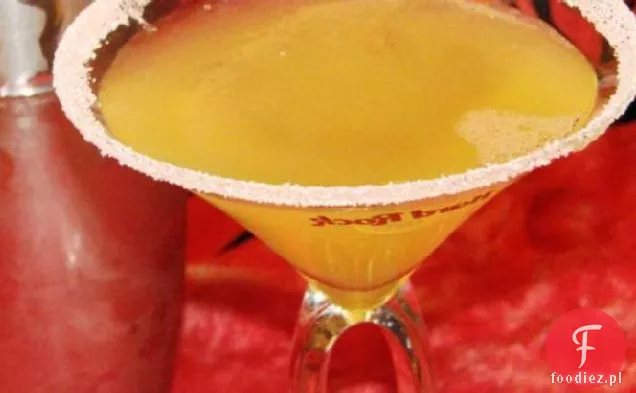 Adult Orange Splash