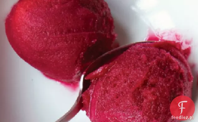 Sorbet Żurawinowo-Portowy