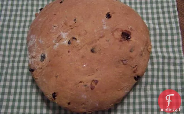 Gruszka i czerwone wino polane filet z kangura (lub wołowina) z Makadami