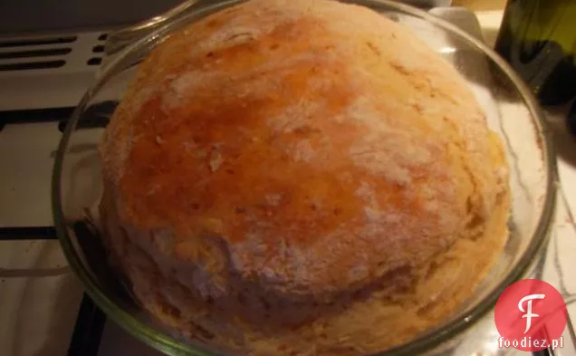 Southern Lady Cake