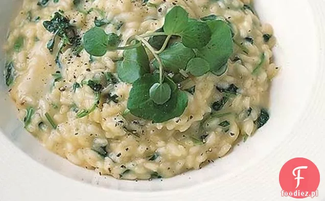 Rukola & Taleggio Risotto