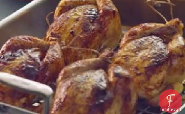 Przyprawy-kury dziczyzny z rabarbarem-Chutney daktylowy