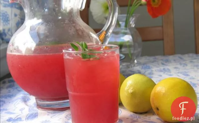 Malibu Mango Mojito