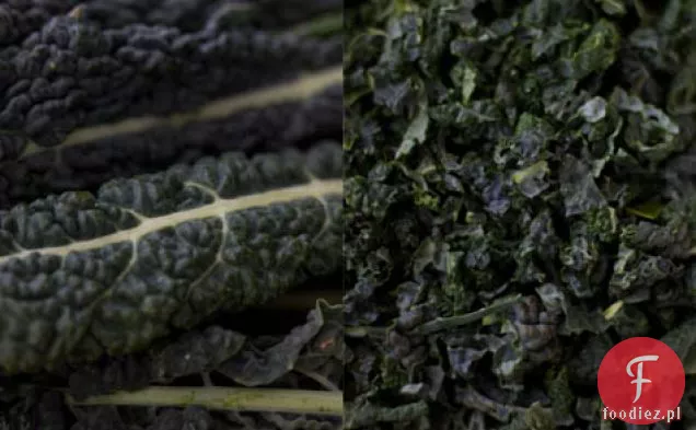 Ribollita Przepis