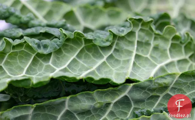 Kale: Zielony Potwór Liściasty