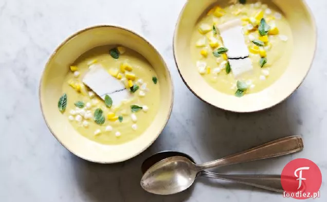 Crookneck Squash I Zupa Kukurydziana Z Humboldt Mgły Przepis