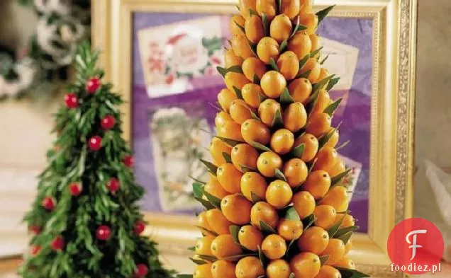 Kumkwat i drzewo laurowe