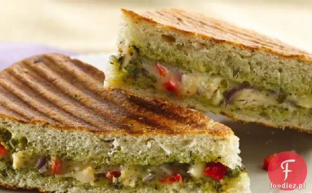 Pesto Z Kurczaka Panini