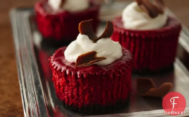 Serniki Mini Red Velvet