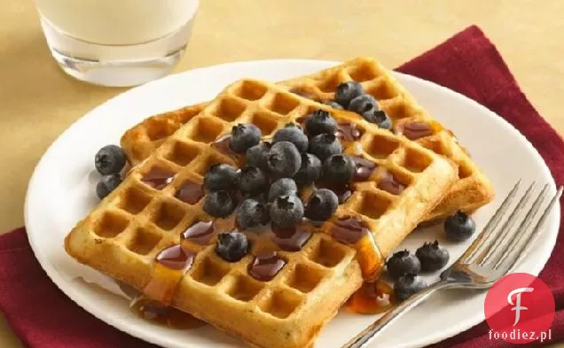 Wafle Fiber One™ 