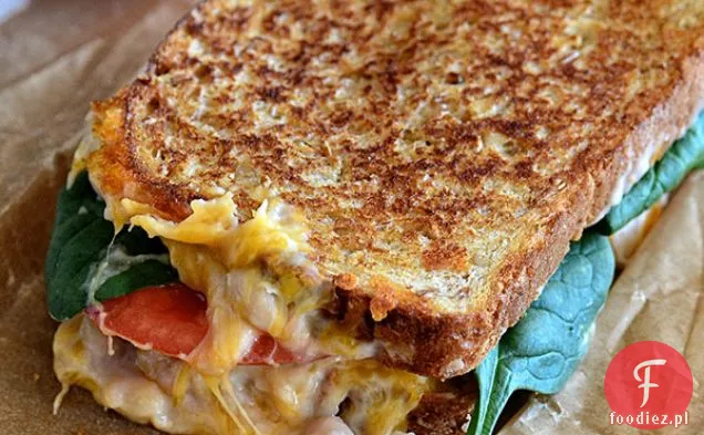 White Bean Cheddar Melt