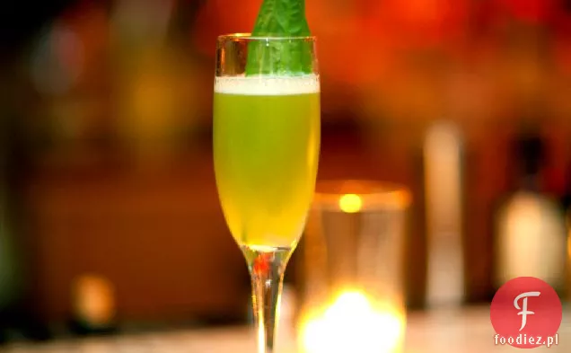 Przepis Na Szczaw Daiquiri