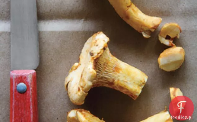 Delikatna Sałatka Z Kurkami