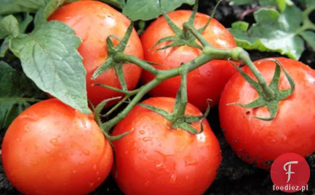 Gotuj książkę: pomidory wystrojone na lato