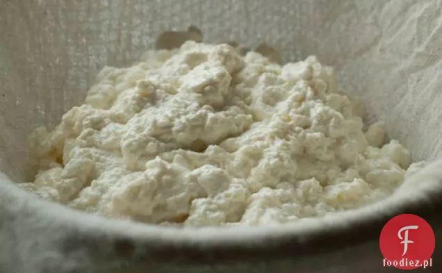 Ser Ricotta domowej roboty spiżarni