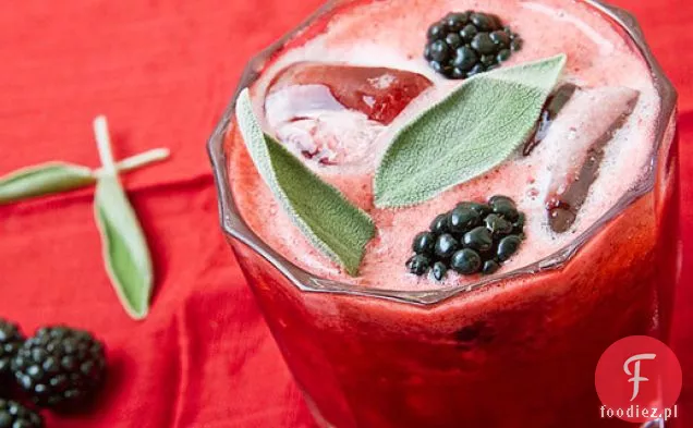 Lemoniada Jeżynowo-Szałwiowa