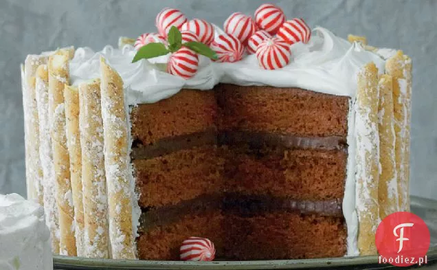 Peppermint-Hot Chocolate Cake