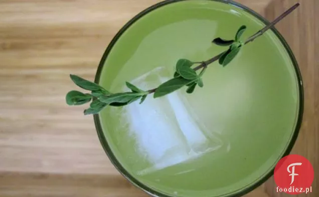 Tonik Selerowy Northern Spy