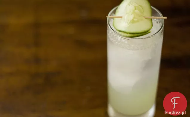 Ogórek Gin Fizz