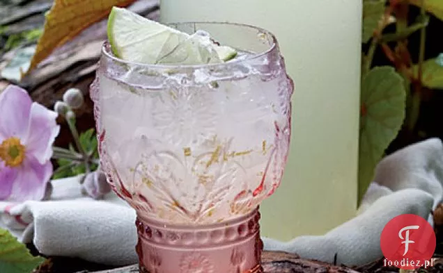 Lime Fizz