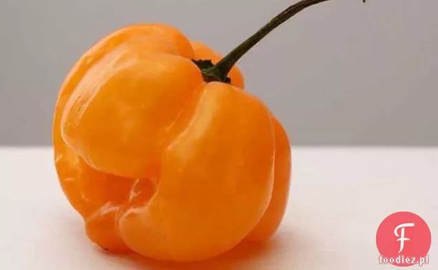 Habanero-Pieczony Indyk Solony