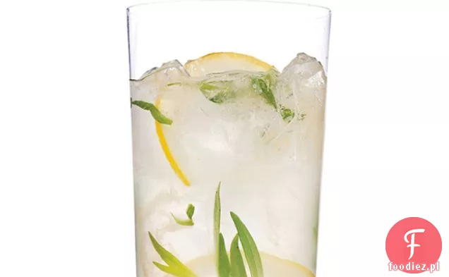 Musujące Estragon-Gin Lemonade