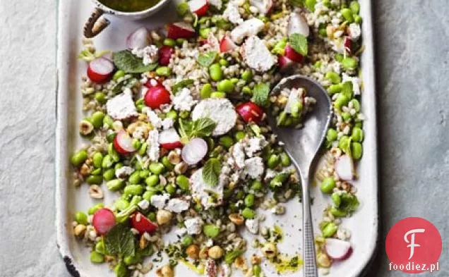 Sałatka z bób, jęczmień i mięta