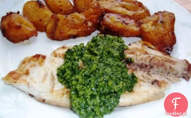 TILAPIA Z PESTO KOLENDRY (TILAPIA A LA PLANCHA CON PESTO DE CILANTRO)
