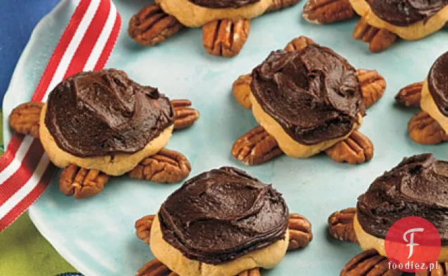 Frosted Turtle Cookies
