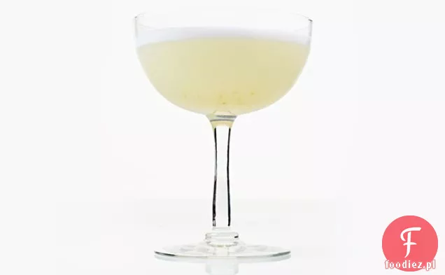 Autumn Gin Sour