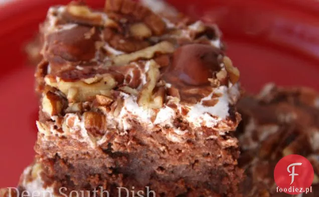 Mississippi Mud Cake